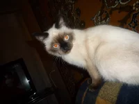 P1010375.webp