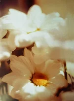  Копия P1120428.webp