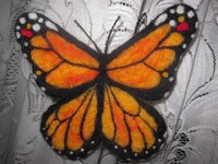 IMG_2582.jpg