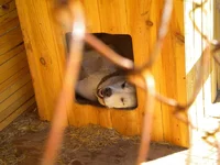 016.webp