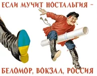  по россии.webp