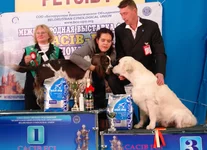  26-27.11 2011 163.webp