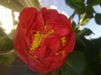 016.webp