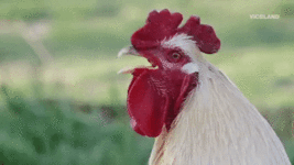 hdj2ab.gif