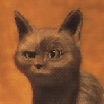 hgj6jg.gif