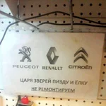 c1gdgb.jpg