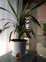 egbdh0.webp