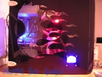 22.webp