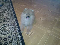 20111202_004.webp