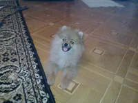 20111202_005.webp