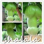 egej6f.webp