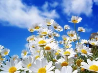 847f764671483a3fb0a16e405cdd58dd.webp