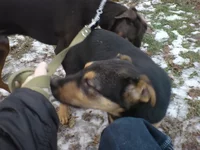 DSC00184 [800x600].webp