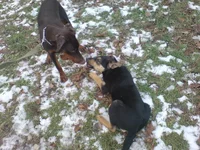 DSC00186 [800x600].webp