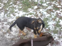 DSC00183 [800x600].webp