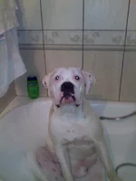 001.webp