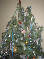PC256713.JPG