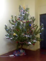 003.webp