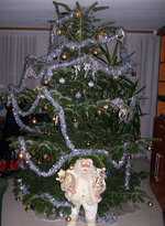 2007.jpg