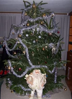 2007.webp