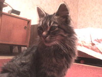 DSC00098.JPG