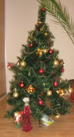 IMG_2763.webp
