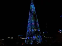 P1150375-1.webp