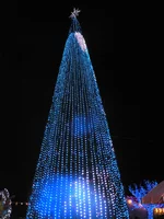 P1150393-1.jpg