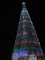 P1150397-1.jpg