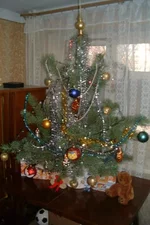 5.webp