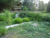 DSC03129.JPG