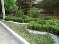 DSC03130.JPG