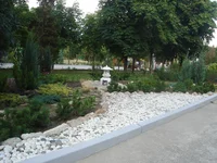 DSC03131.JPG