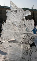 IMG_0429.webp