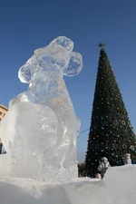 IMG_0414.webp