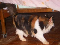  141.webp