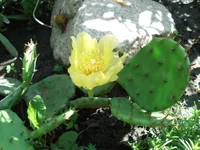 DSC05555.webp