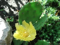 DSC05560.webp