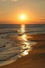 d723b8877d90fbb1c167b296e7b2b3ea.webp