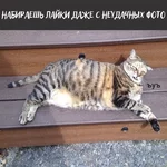 bajeb7.webp