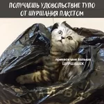 8ahcbj.webp