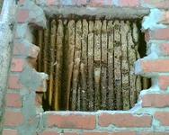 вита 015.jpg