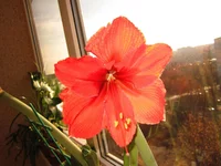 IMG_00851.jpg