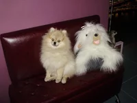 P2080220.webp