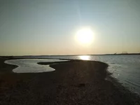 dbedd4.webp