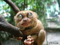 d6f0f9746c62ca8335c32.gif