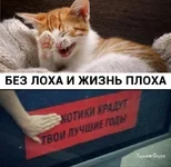 aa08170682b0c752c398a180.jpg