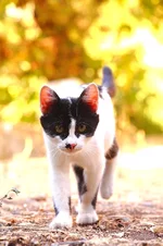 DPP_2598-1.webp