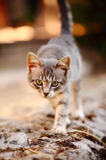 DPP_2599-1.webp