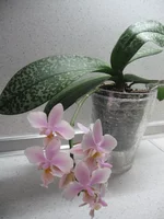 IMG_0097.webp